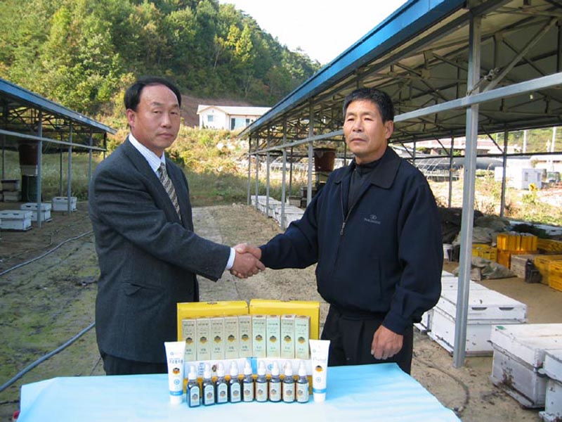 ������ ������������ �븮�� ���ü��